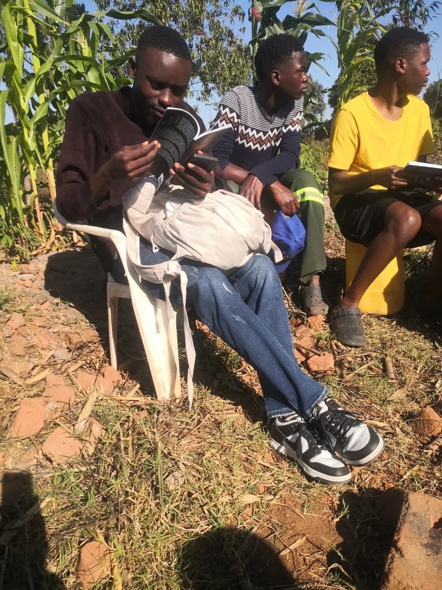 Three young men reading The Prayer together in a maize field in rural Malawi